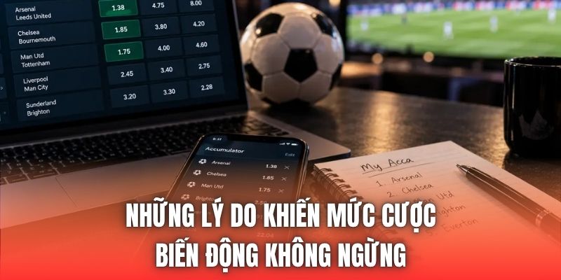 Những lý do khiến mức cược biến động không ngừng